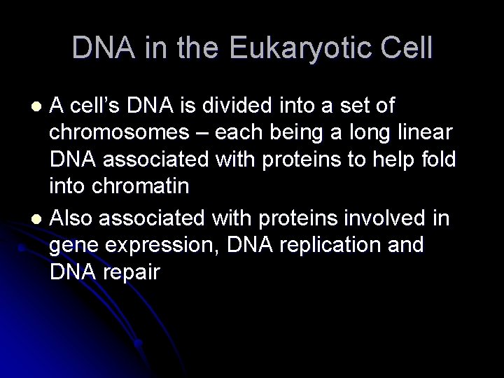 DNA in the Eukaryotic Cell A cell’s DNA is divided into a set of