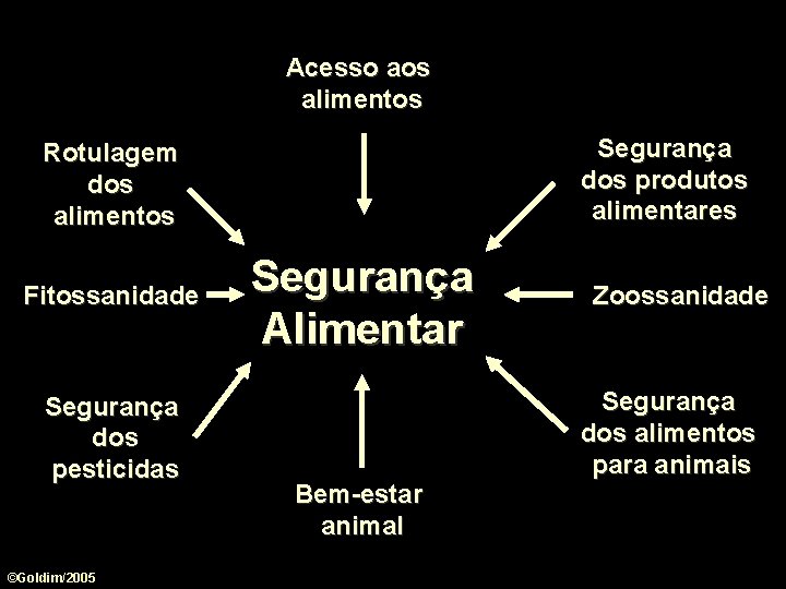 Acesso aos alimentos Segurança dos produtos alimentares Rotulagem dos alimentos Fitossanidade Segurança dos pesticidas