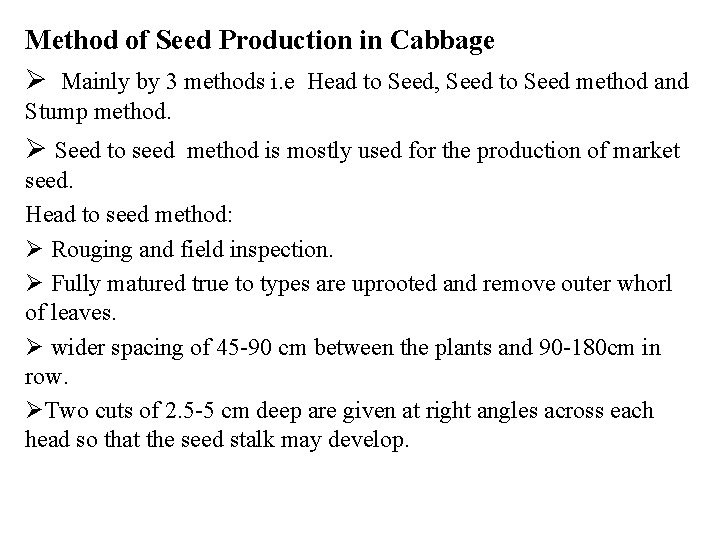 Method of Seed Production in Cabbage Ø Mainly by 3 methods i. e Head