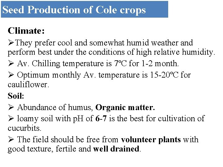 Seed Production of Cole crops Climate: ØThey prefer cool and somewhat humid weather and