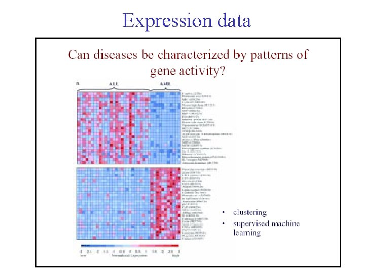 Expression data 