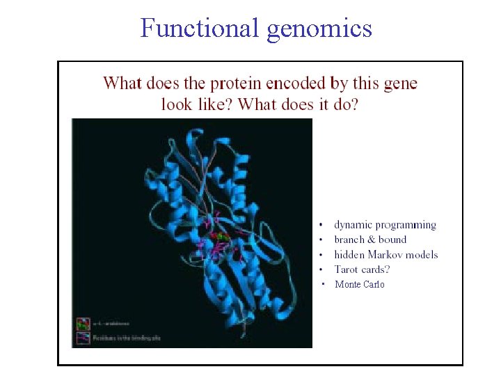 Functional genomics • Monte Carlo 
