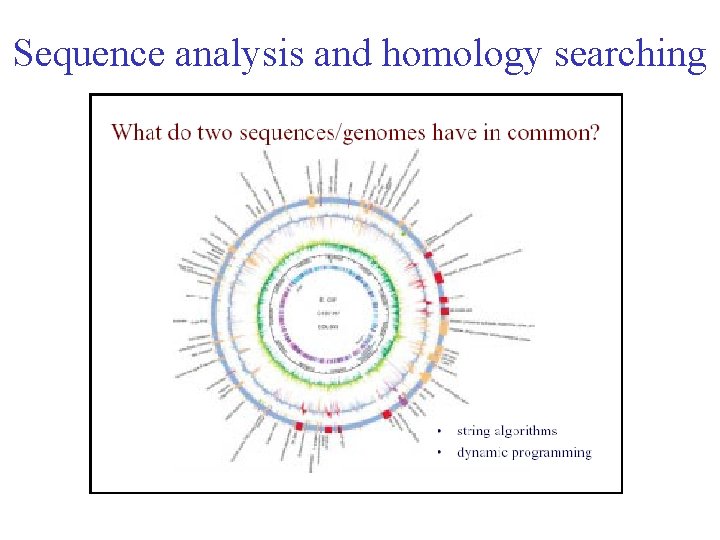Sequence analysis and homology searching 