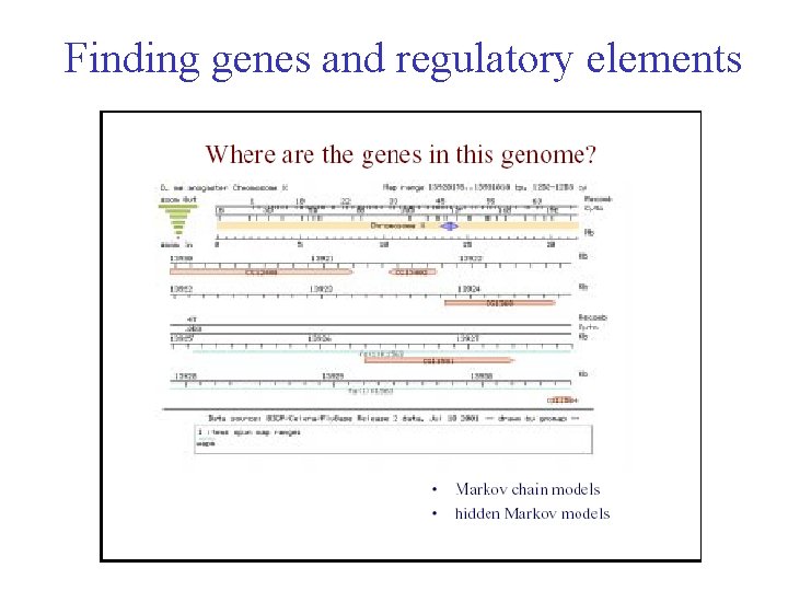 Finding genes and regulatory elements 