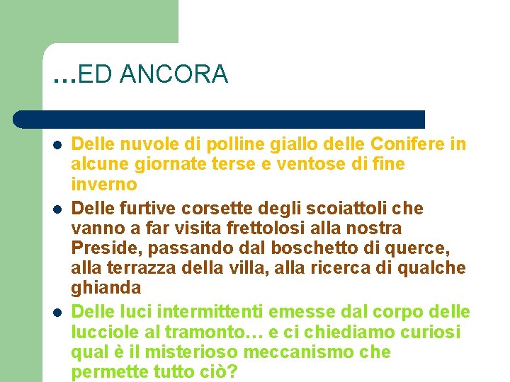 …ED ANCORA l l l Delle nuvole di polline giallo delle Conifere in alcune