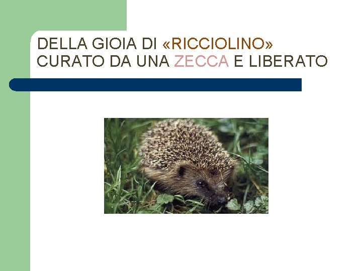 DELLA GIOIA DI «RICCIOLINO» CURATO DA UNA ZECCA E LIBERATO 