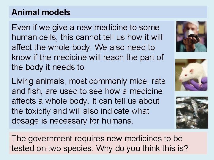 Animal models Even if we give a new medicine to some human cells, this