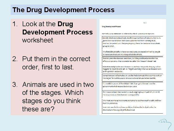 The Drug Development Process 1. Look at the Drug Development Process worksheet 2. Put