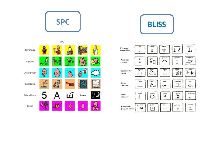 SPC BLISS 