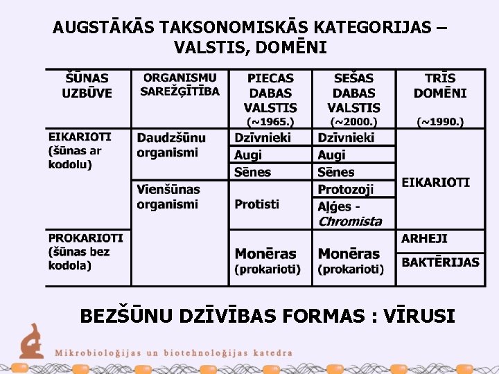 AUGSTĀKĀS TAKSONOMISKĀS KATEGORIJAS – VALSTIS, DOMĒNI BEZŠŪNU DZĪVĪBAS FORMAS : VĪRUSI 