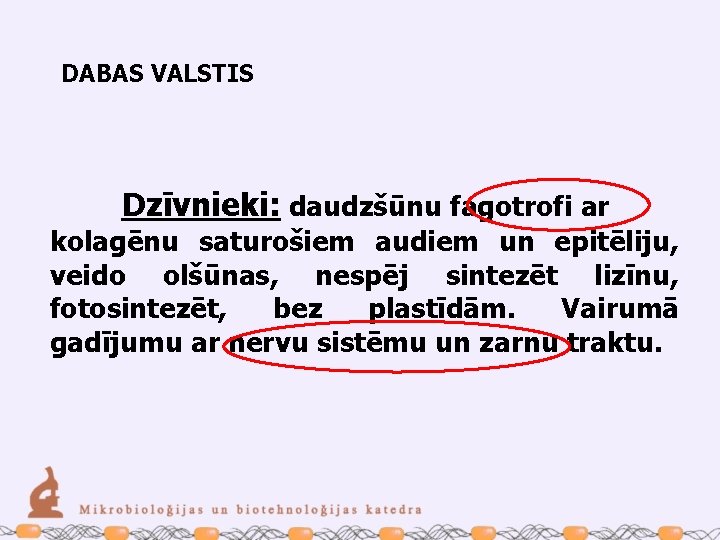 DABAS VALSTIS Dzīvnieki: daudzšūnu fagotrofi ar kolagēnu saturošiem audiem un epitēliju, veido olšūnas, nespēj