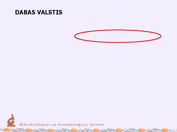 DABAS VALSTIS 