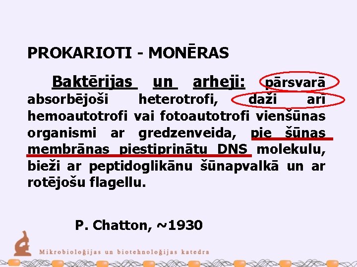 PROKARIOTI - MONĒRAS Baktērijas un arheji: pārsvarā absorbējoši heterotrofi, daži arī hemoautotrofi vai fotoautotrofi