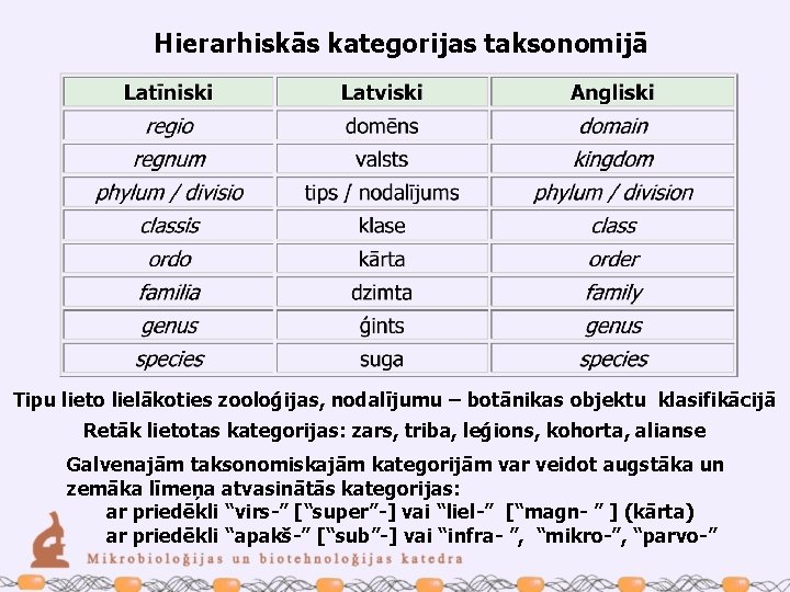 Hierarhiskās kategorijas taksonomijā Tipu lieto lielākoties zooloģijas, nodalījumu – botānikas objektu klasifikācijā Retāk lietotas