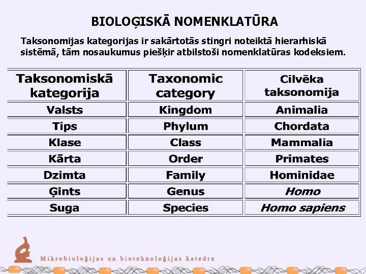 BIOLOĢISKĀ NOMENKLATŪRA Taksonomijas kategorijas ir sakārtotās stingri noteiktā hierarhiskā sistēmā, tām nosaukumus piešķir atbilstoši