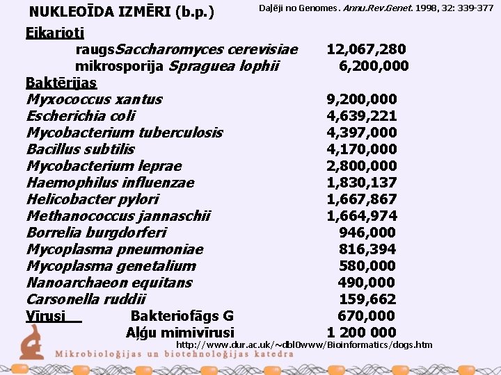 NUKLEOĪDA IZMĒRI (b. p. ) Daļēji no Genomes. Annu. Rev. Genet. 1998, 32: 339