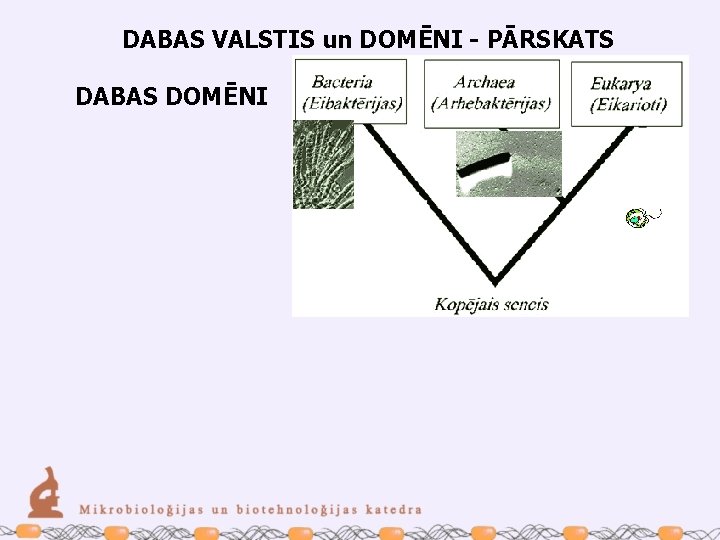 DABAS VALSTIS un DOMĒNI - PĀRSKATS DABAS DOMĒNI 