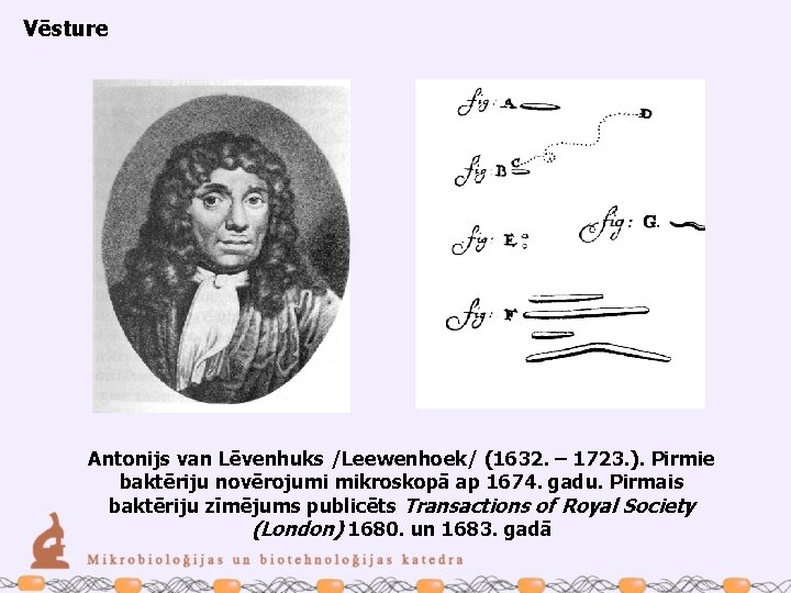 Vēsture Antonijs van Lēvenhuks /Leewenhoek/ (1632. – 1723. ). Pirmie baktēriju novērojumi mikroskopā ap