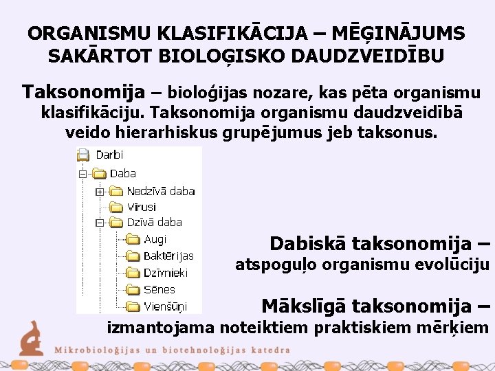 ORGANISMU KLASIFIKĀCIJA – MĒĢINĀJUMS SAKĀRTOT BIOLOĢISKO DAUDZVEIDĪBU Taksonomija – bioloģijas nozare, kas pēta organismu