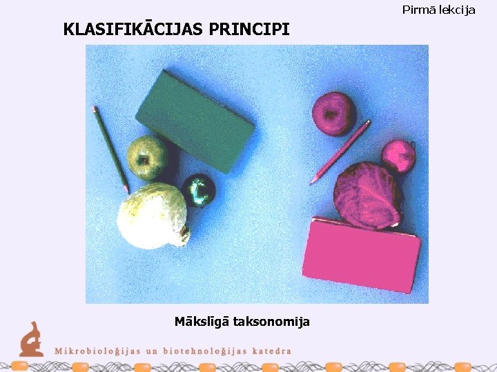 Pirmā lekcija KLASIFIKĀCIJAS PRINCIPI Mākslīgā taksonomija 