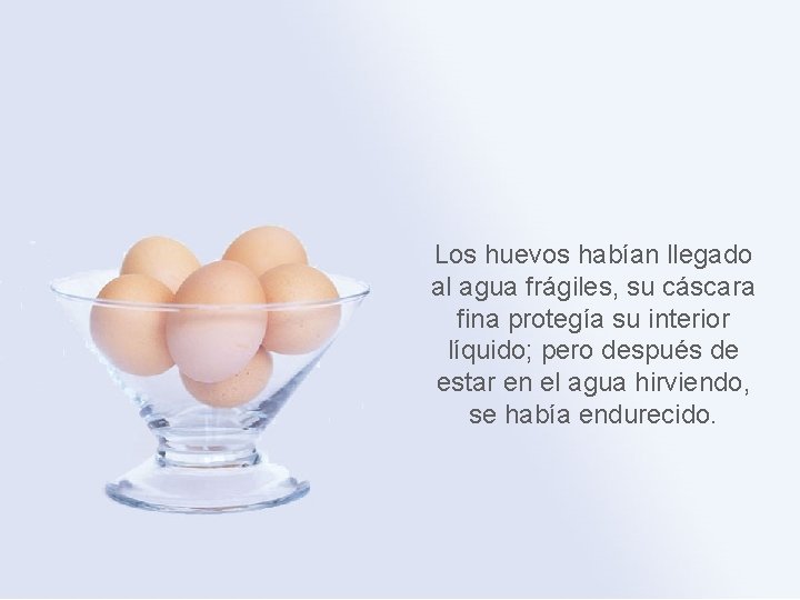 Los huevos habían llegado al agua frágiles, su cáscara fina protegía su interior líquido;