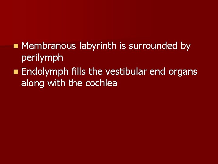 n Membranous labyrinth is surrounded by perilymph n Endolymph fills the vestibular end organs
