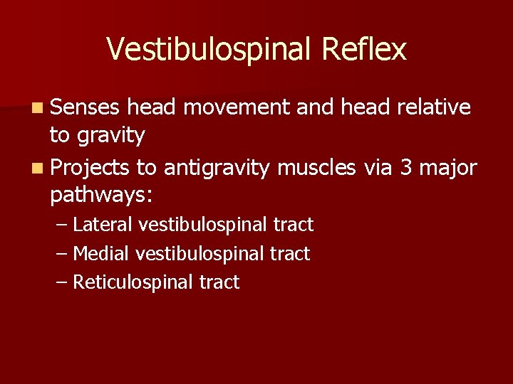 Vestibulospinal Reflex n Senses head movement and head relative to gravity n Projects to