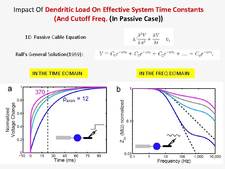 Impact Of Dendritic Load On Effective System Time Constants (And Cutoff Freq. (In Passive