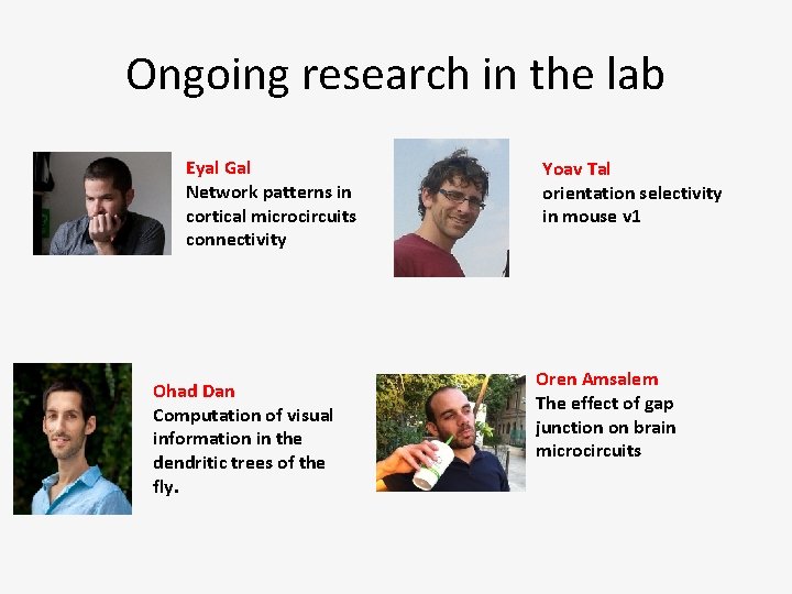 Ongoing research in the lab Eyal Gal Network patterns in cortical microcircuits connectivity Ohad Ongoing research in the lab Eyal Gal Network patterns in cortical microcircuits connectivity Ohad