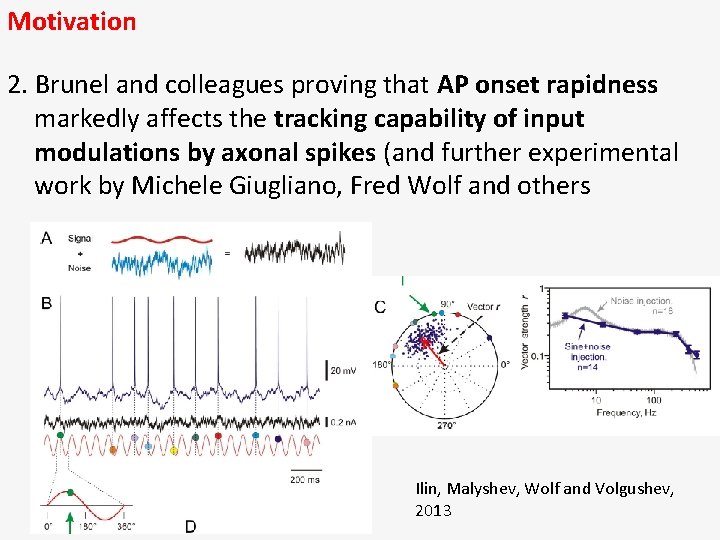 Motivation 2. Brunel and colleagues proving that AP onset rapidness markedly affects the tracking