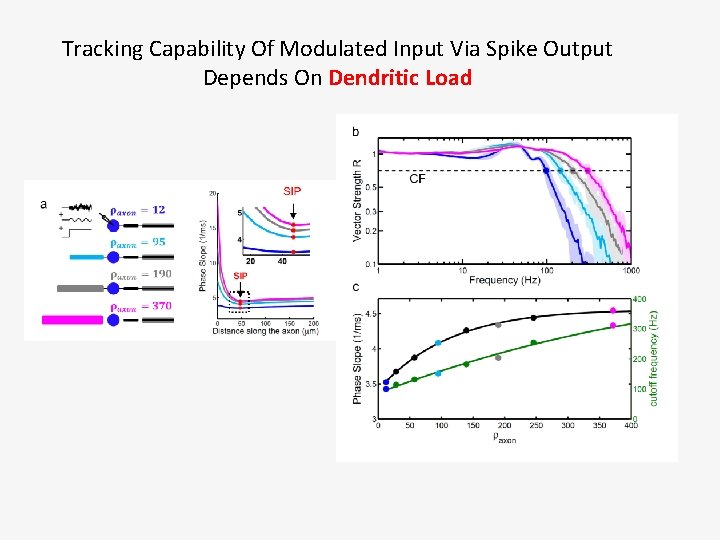 Tracking Capability Of Modulated Input Via Spike Output Depends On Dendritic Load 