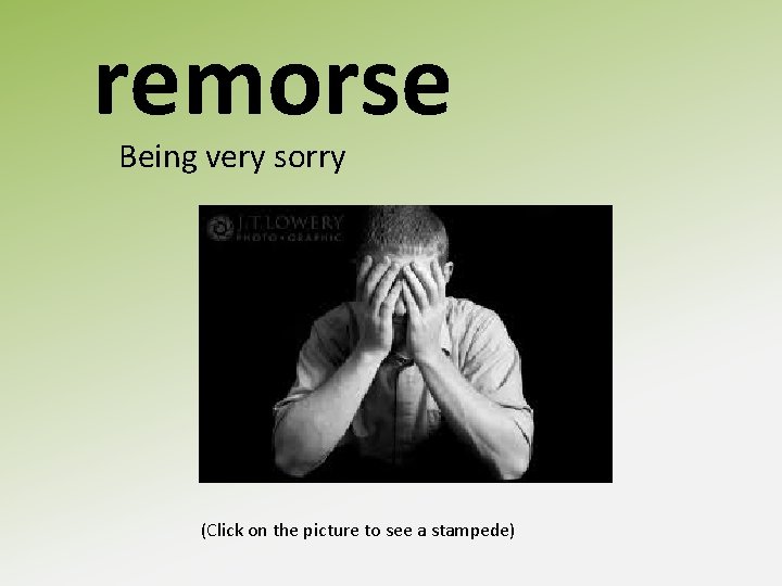 remorse Being very sorry (Click on the picture to see a stampede) 
