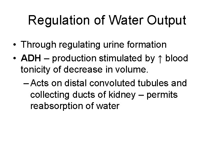 Regulation of Water Output • Through regulating urine formation • ADH – production stimulated