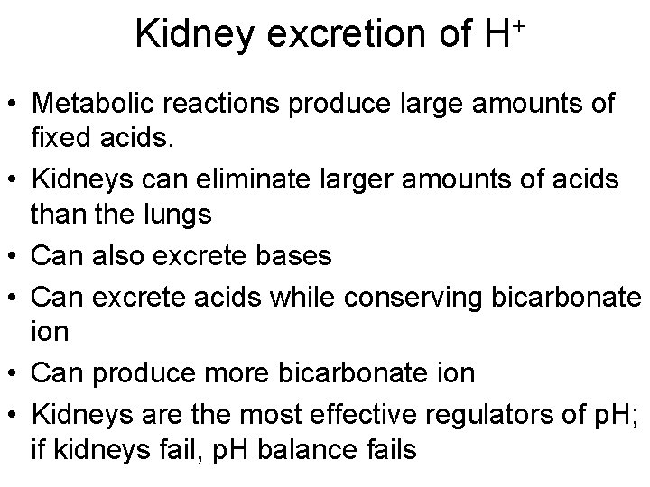 Kidney excretion of + H • Metabolic reactions produce large amounts of fixed acids.