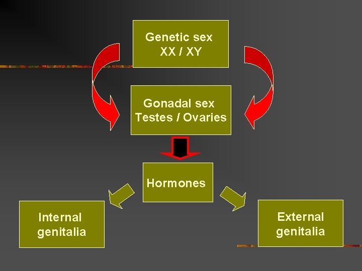 Genetic sex XX / XY Gonadal sex Testes / Ovaries Hormones Internal genitalia External