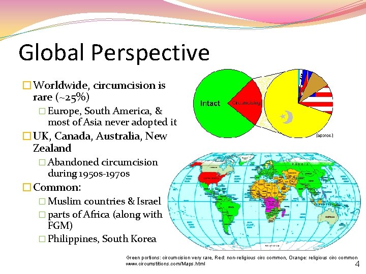Global Perspective �Worldwide, circumcision is rare (~25%) � Europe, South America, & most of