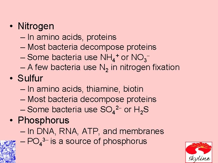  • Nitrogen – In amino acids, proteins – Most bacteria decompose proteins –