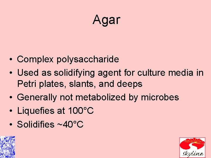 Agar • Complex polysaccharide • Used as solidifying agent for culture media in Petri