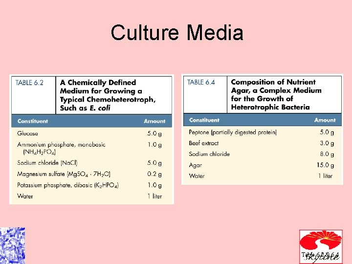 Culture Media Table 6. 2 & 6. 4 