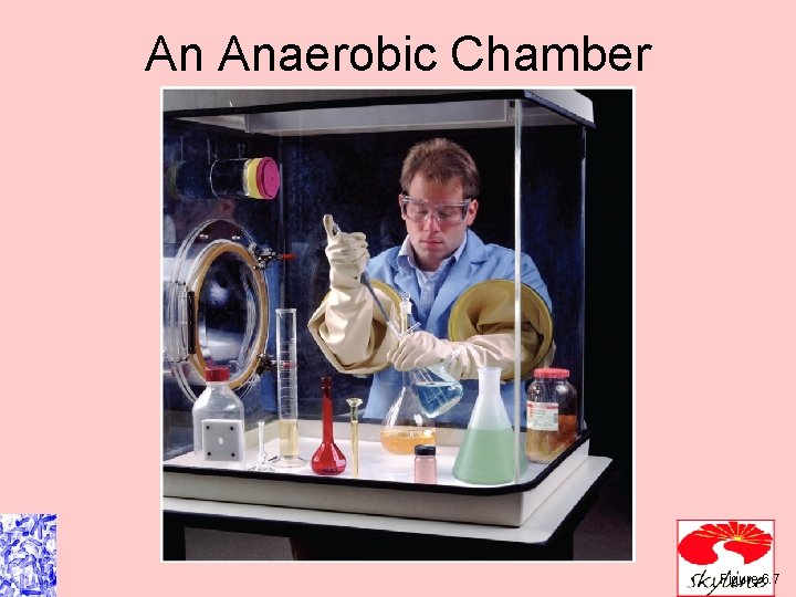 An Anaerobic Chamber Figure 6. 7 