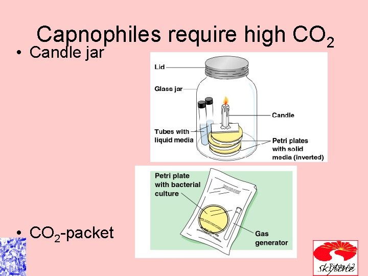 Capnophiles require high CO 2 • Candle jar • CO 2 -packet Figure 6.