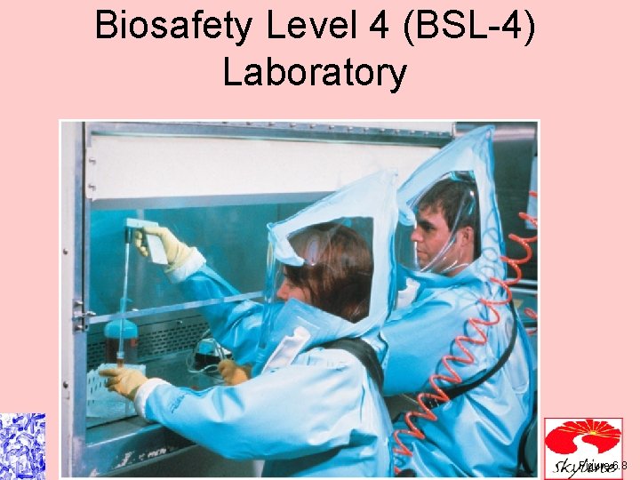 Biosafety Level 4 (BSL-4) Laboratory Figure 6. 8 