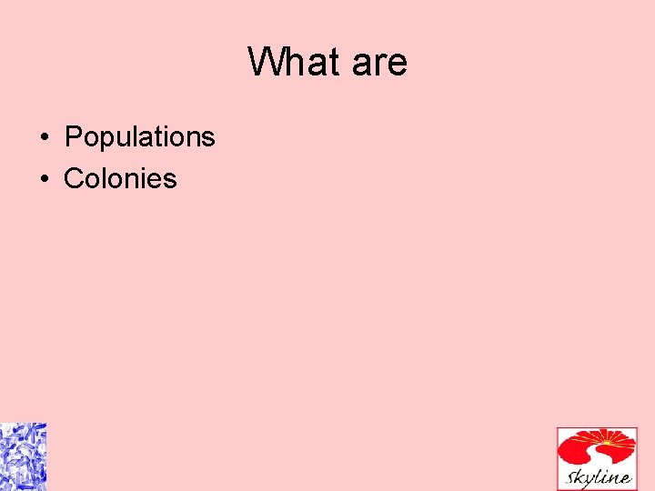 What are • Populations • Colonies 