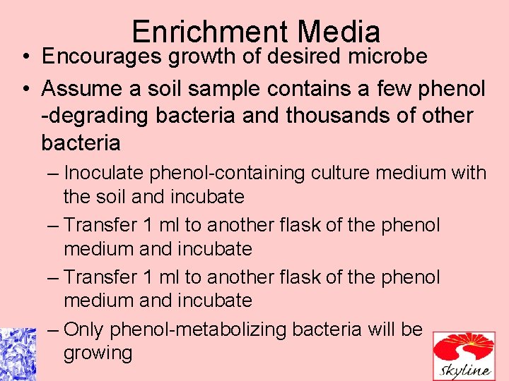 Enrichment Media • Encourages growth of desired microbe • Assume a soil sample contains