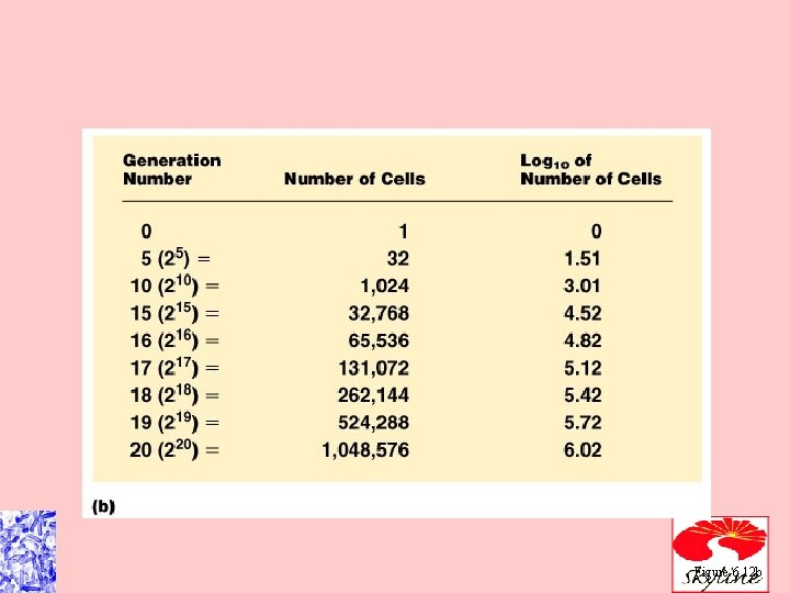 Figure 6. 12 b 