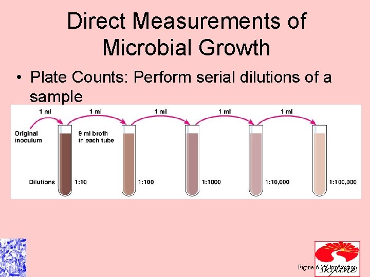 Direct Measurements of Microbial Growth • Plate Counts: Perform serial dilutions of a sample