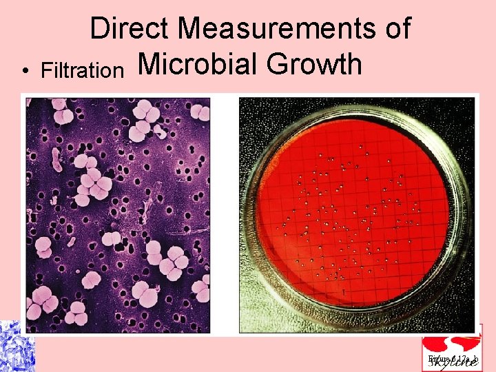  • Direct Measurements of Filtration Microbial Growth Figure 6. 17 a, b 