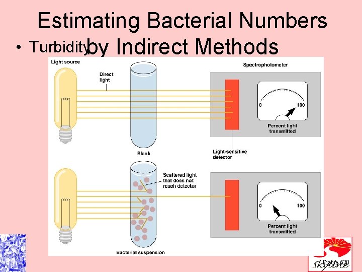  • Estimating Bacterial Numbers Turbidityby Indirect Methods Figure 620 