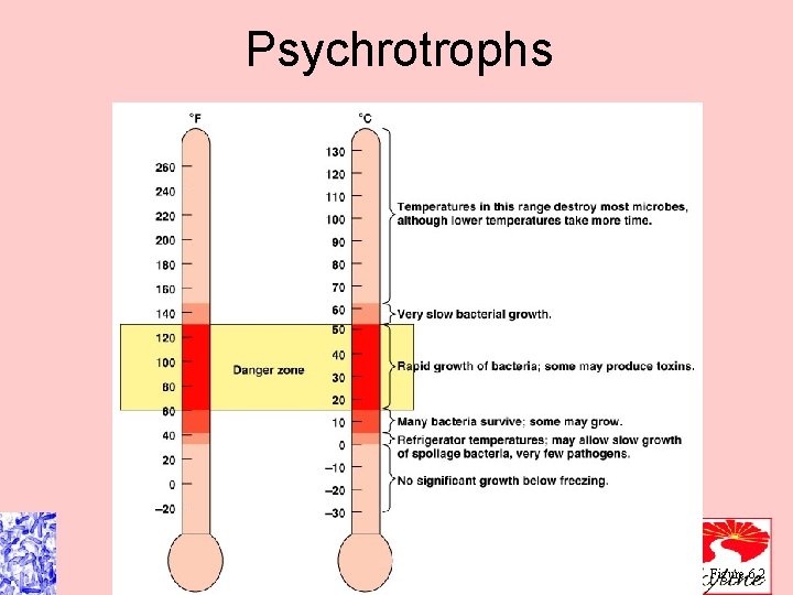 Psychrotrophs Figure 6. 2 