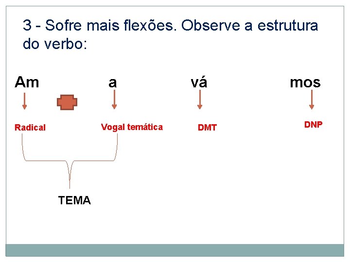 3 - Sofre mais flexões. Observe a estrutura do verbo: Am a Vogal temática